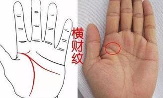 #风水布局小技巧#（随意拼凑版）