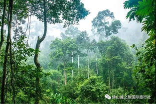 出发前的心理建设