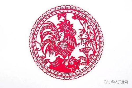 一、随意的“命理”碎碎念（真实的很随便）