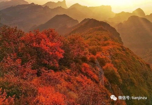 行程中的注意事项 (重要的事情说三遍！)