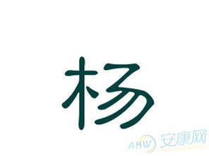 良好听最崭新的杨姓男孩名字起名技巧