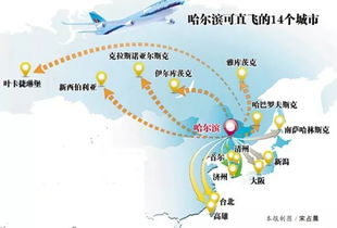 先问问自己：你是不是脑子进水了要去青冈？