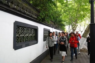 噪音中的宁静？想多了！