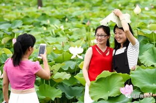 时间规划？不存在的！随心所欲才是王道