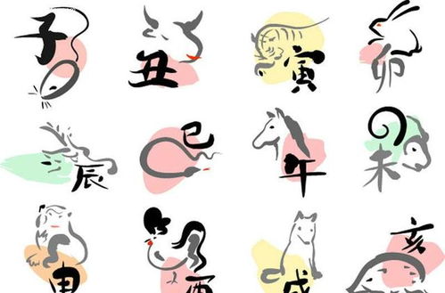 属猪天秤座2026年每月运势和属猪水瓶座2026年九月运势具体内容是什么？