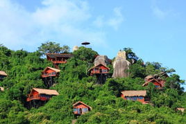 2. 代官山：小资情调满满
