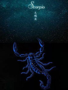 天蝎座：嘴唇边的神秘代码
