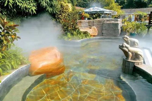 露天泡池的体验