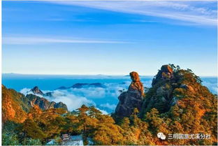 哪个生肖夫妻最爱游山玩水赏星看月？