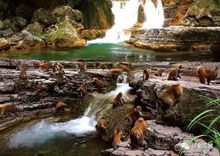 惯与那个让人又爱又恨的门票