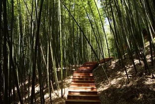 旅行小贴士——别让糟糕细节毁掉你的探险！