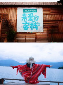 #随机广告位#