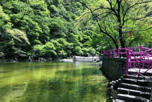 太平森林公园：团体优惠(优惠在哪里?)