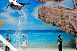 震惊！沈阳海洋馆竟成当代