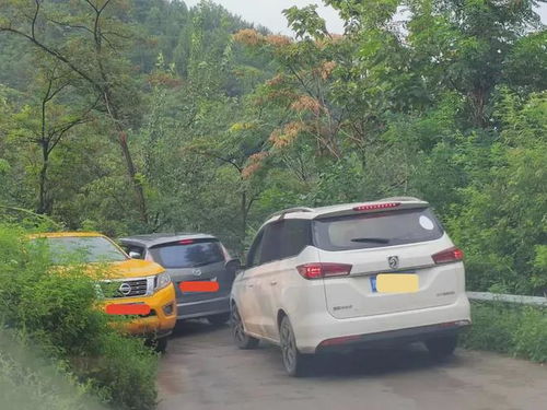 选车：SUV还是轿车？这是个问题