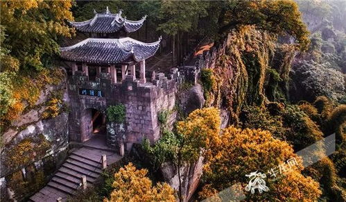 五、 综合乱七八糟清单（全免费&超随性）