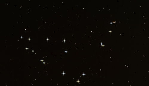 哪些星座不是不擅长交际，而是因为灵魂匹配寥寥无几而自我孤立？