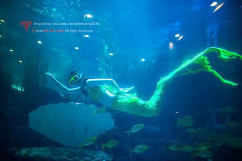 警报声带来的不安