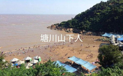 当你踏入广西北部湾畔的防城港,西湾旅行景区犹如一颗镶嵌在城央的 蓝宝石 ,正散发着璀璨而休闲的光芒。这里并非远离人烟的度虚假地,而是一座将碧海、 较大桥、城区天际线与市民生活融合的 城区会客厅 ,也是国家地区4A级旅行景区。景区动人的画卷,在日夜交替间徐徐展开。白天,你能够漫步在精心设计的滨海绿道上,这条绿道巧妙地将骑行、跑步与散步道分开,让你能迎着温柔的海风,以舒适的节奏览尽海景。不远处,壮观的跨海较大桥如巨龙卧波,连接着两岸的风景。登上城区地标仙人山公园,一幅 城在海中,海在城中 的独特全景便在眼前豁然开朗。入夜后 霓虹点亮跨海较大桥的轮廓，城区灯...