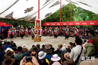 羅佈 林 卡門票價格：僅需60元