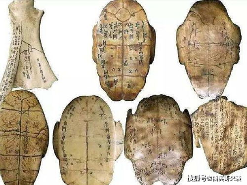 1）文字缺失——甲骨文里的空白