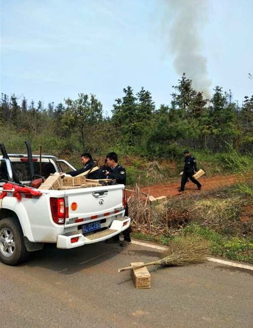 哎呀，2025年6月15日这天到底嫩不嫩去上坟呢？咱们来唠唠嗑