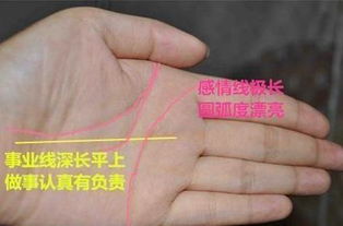 1. 三大主线的清晰度