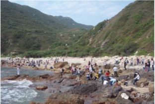 九龙湾：一个有点儿奇怪但又很棒的地方