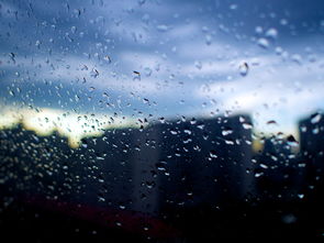 星座视角下的雨后惊魂