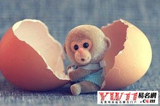 男猴女龙婚姻如何？龙猴父母生兔宝宝吉凶如何？