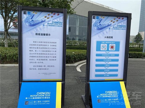 开场：那个夏天我像个傻子一样站在太阳底下