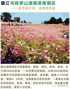 装备清单：我的五一“生存包”