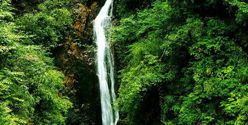 震惊！亢谷景区免费门票竟藏着惊天黑幕？2026年运势大揭秘