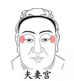 2. 口鼻区域：性格与沟通能力