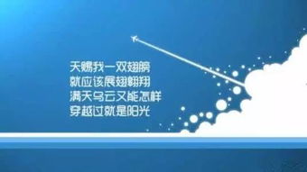 第二章：模糊的星座图谱