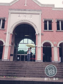 第六站：厦门较大学外景——黑天鹅与涂鸦艺术创作相伴