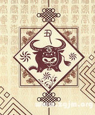 童子命与宿命论的反思