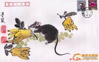 先来聊聊属鼠的人到底怎么走运