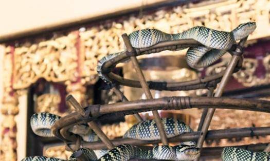 夜深厚了我还在等待