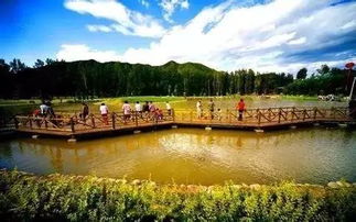 山东东营的五皇岭：历史悠久的风景区