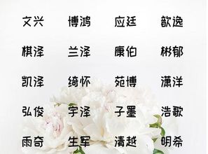 2025年宋、 徐姓宝宝取名：别出心裁的选择