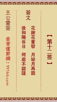 碧岩洞府灵签第二十签和老君洞第八十一签分别是什么意思？