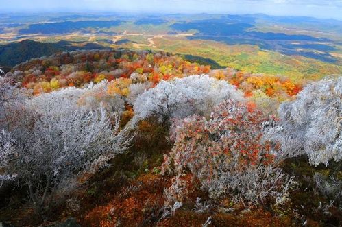 一、 秘境初探：四方顶子的地理与传说