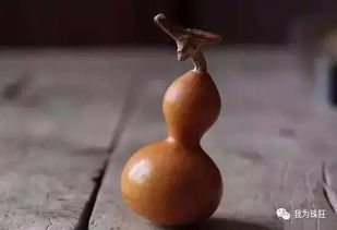 捡到菜油好不好风水,捡到葫芦好不好风水