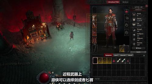 黑中的终结——生肖轮回与星宿迷雾