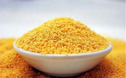 那个夏天，我被离石小米狠狠打脸