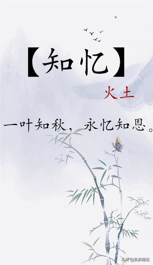 一、前言——别说我不提醒，你们真实的要给方宝宝挑名字啦？
