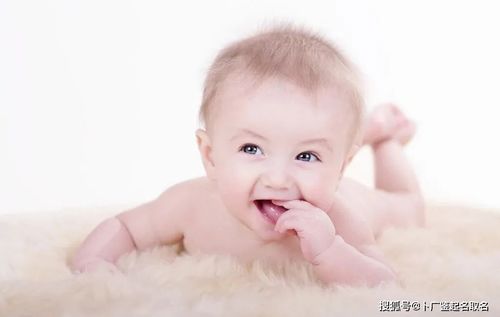 女孩名字较大全