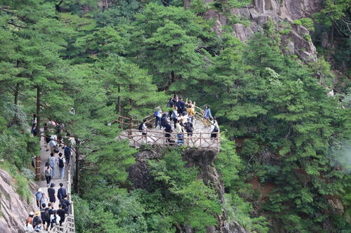 黄山风景区：挑战体嫩极限还是锻炼意志力？