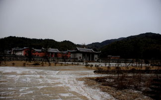 属虎的人要注意了！这个月份你的运势将有大变化！